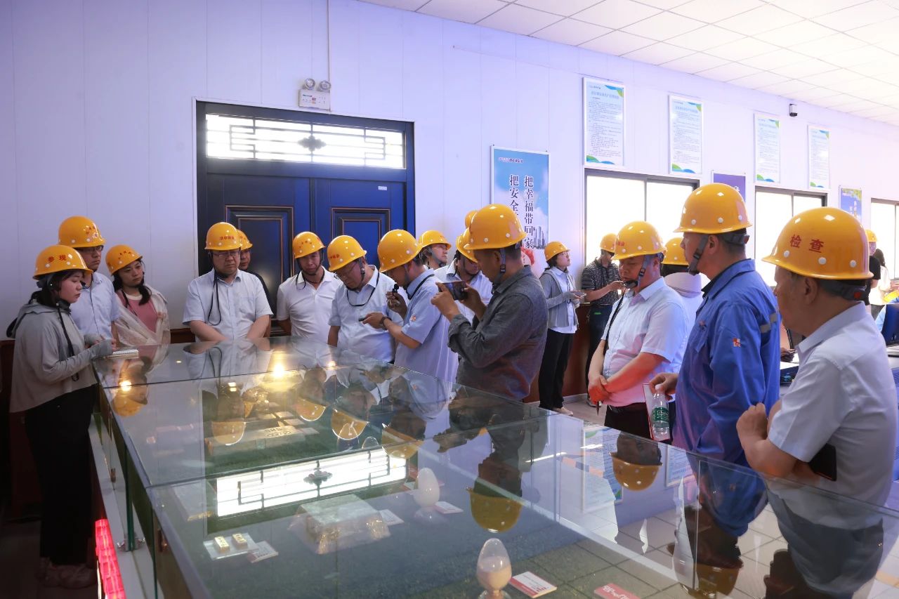 1716190307581023.jpg 03.jpg